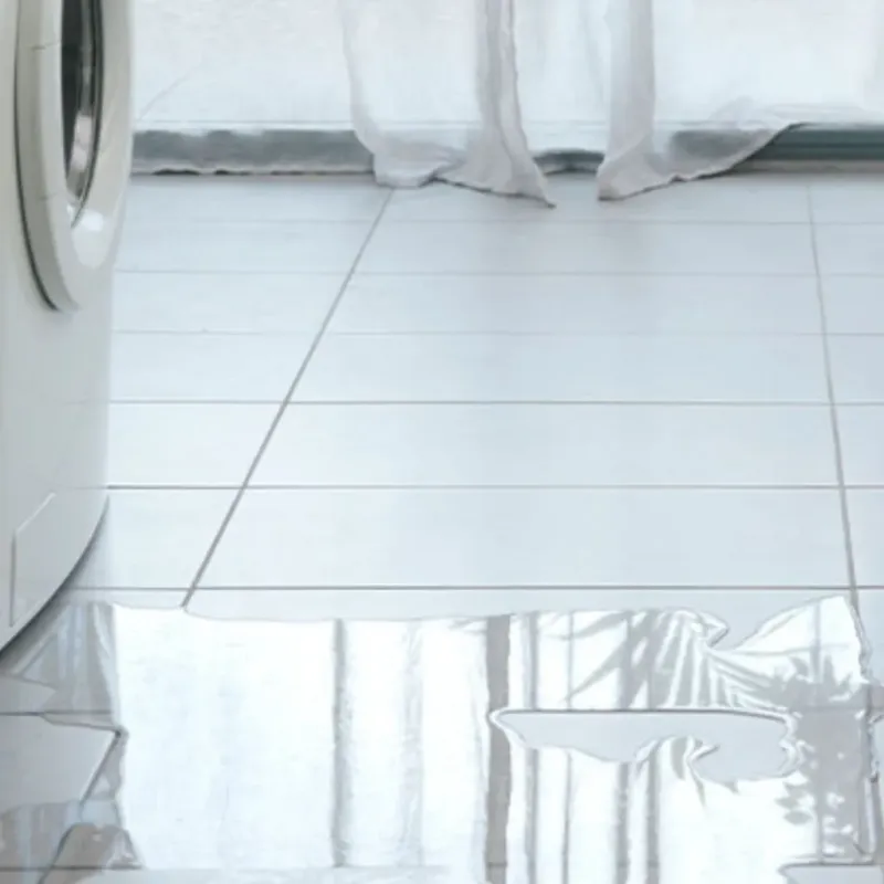 Appliance Leak Cleanup in Oxford, AL