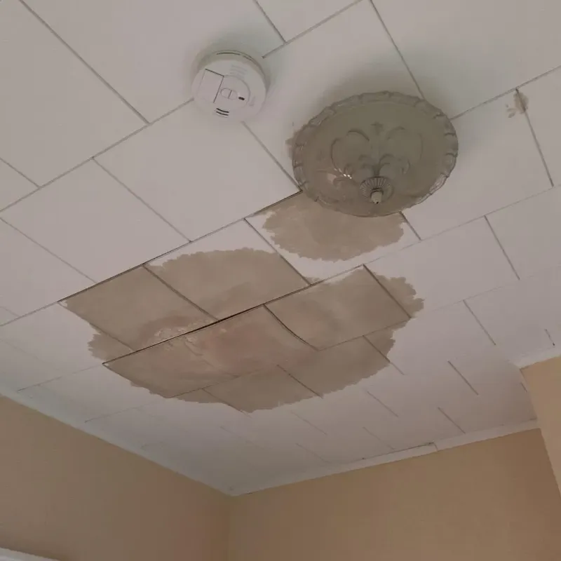 Ceiling Water Damage Repair in Oxford, AL
